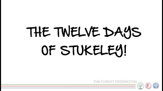 Twelve Days Of Stukeley 2022 [upl. by Seira]