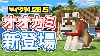 【マイクラ1205】オオカミに8種類の新種が新登場！スポーン場所・見た目・仕様など詳しく解説！【マインクラフト】SNAPSHOT 24W10A [upl. by Yadroc233]