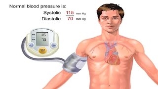 How Blood Pressure Works Animation  Understanding Blood Pressure Measurement Monitor Readings Video [upl. by Shirlee]