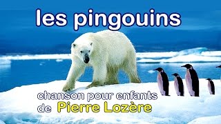 Les pingouins de Pierre Lozère [upl. by Natanoj]