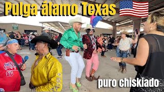 ASI ES LA PULGA DEL ALAMO TEXAS EN ESTADOS UNIDOS [upl. by Caz896]