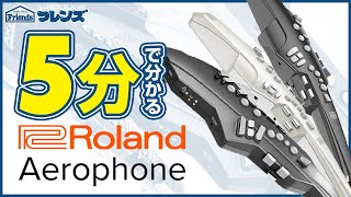 【5分で分かる！】話題のデジタル管楽器「Aerophone」ってどんな楽器？初心者でも楽しめる？ [upl. by Granniah237]