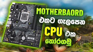 CPU ගැලපෙන Motherboard ගමුද I budget pc build sinhala I motherboard and cpu sinhala [upl. by Robertson688]