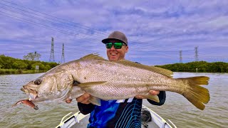 Chasing Jewfish in the Riverusing the Baitjunkie Prawn [upl. by Rodmur412]