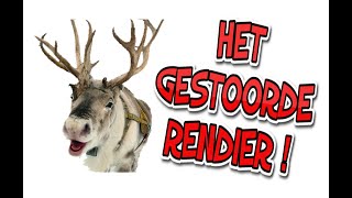 DE POEP SHOW LIEDJES KERSTLIEDJES  Het gestoorde rendier Zingen en dansen  Grappige leuke muziek [upl. by Akenom545]