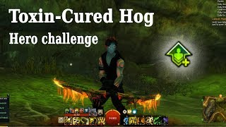 Westwatch patch  hero challenge gw2 ToxinCured Hog [upl. by Boiney]