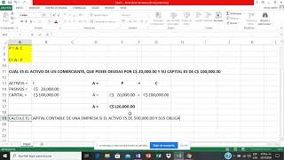 Cómo entender la Dinámica Contable  Una mirada al Marco Conceptual de las NIIF [upl. by Yatnohs]