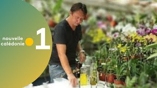 3  Astuce jardinage  Insecticide à lail [upl. by Accebber]