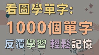 看圖學1000個基礎英文單字 修正版 【圖像式學習】 英文單字 英語實用單字 看圖學英文單字 [upl. by Nanerb]