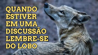 Você quotGRITAquot Como Uma GALINHA ou Age Como Um LOBO A Fábula do Lobo e a Galinha [upl. by Vyky525]