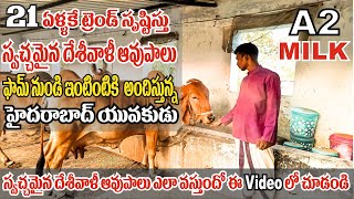 Gir Cow Farming In Telugu  Pure Natural A2 Milk in Hyderabad  Desi Cow Milk [upl. by Eirod]