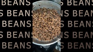 she made beans wtf but I vocoded it amazingly [upl. by Latif]