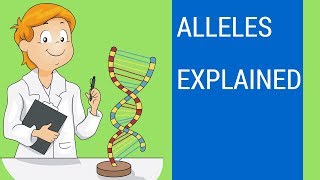 What is an allele   Allele examples [upl. by Knox]