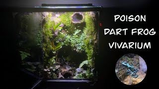 Poison Dart Frog Vivarium Build With waterfall mist and fan [upl. by Cristine]