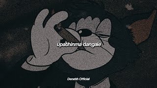 Upathinma Dangale  උපතින්ම දාංගලේ   Slowed  Reverb  2024 [upl. by Pelligrini]