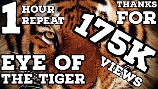 Eye of the Tiger 1 Hour Repeat [upl. by Nytsrik]