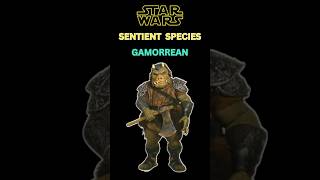 Star Wars Sentient Species Gamorrean starwars shorts starwarsfacts [upl. by Dhiman]