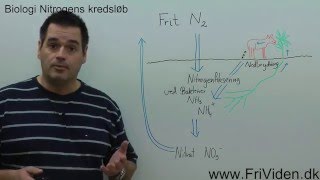 Nitrogens Kredsløb [upl. by Tripp]