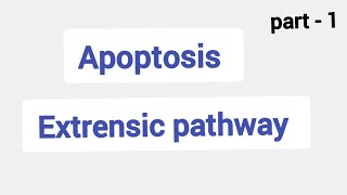 ApoptosisCaspasesProgrammed cell deathExtrensic pathway intrensic pathway [upl. by Ettenay]