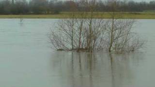 Weserhochwasser [upl. by Zina]