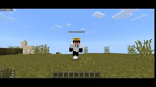 Client MCPE [upl. by Veronika]