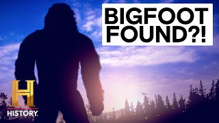 The Proof Is Out There 5 Mysterious Bigfoot Encounters [upl. by Cynthia]