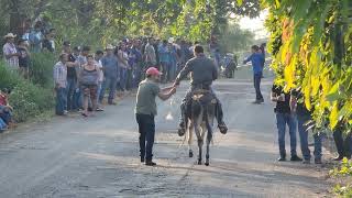 la primer carrera de burros en otates michoacan que chulada [upl. by Brecher76]