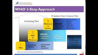 Competence in Cancer Care End of Life Care and Survivorship [upl. by Eno]