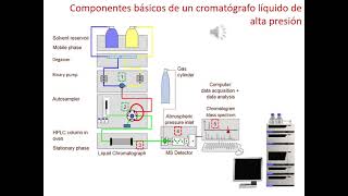 TEÓRICA nº11 Cromatografía Líquida de alta resolución [upl. by Meehaf]