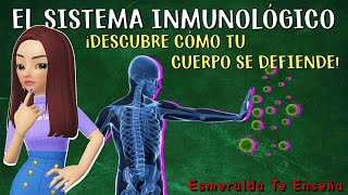 🛡️Sistema Inmunitario Definición Partes y Funciones🦠 [upl. by Lillywhite]