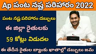 ysr uchitha pantala bheema  ysr uchita pantala bhima payment 2022  ysr panta bheema status [upl. by Adnoloy]