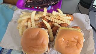 Double Cheese Slider French Fries Fish Nibbers And Chocolate Cake [upl. by Perni]