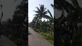 Hot Weather in Indonesia youtubeshorts shortsfeed shorts [upl. by Libyc706]