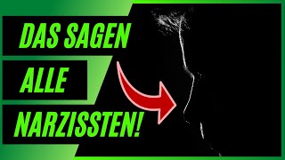 14 Sätze die alle Narzissten sagen [upl. by Matthei]