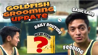 GOLDFISH GROOMING UPDATE AND BASIC CARE GUIDE English subtitles [upl. by Ahael629]