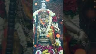 Ayyappa Popular Devotional Songs Telugu  Giri Paina Unna Swamy Song  ytshorts  Devotional TV [upl. by Gunzburg240]