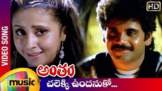 Antham Telugu Movie Songs  Chalekki Undanuko Video Song  Nagarjuna  Urmila  RGV  Mango Music [upl. by Marga]