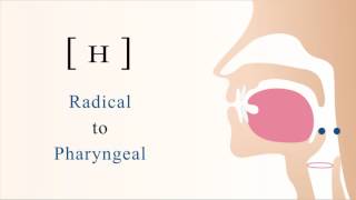 ʜ  unvoiced radical pharyngeal trill [upl. by Laurice410]