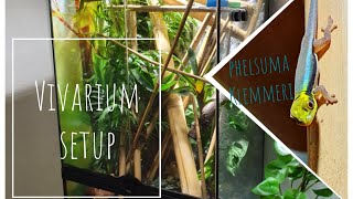 Vivarium Setup  Bamboo Forest for Phelsuma Klemmeri [upl. by Memberg467]