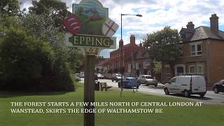 Our Guide to living in Epping [upl. by Saidel717]