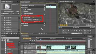 Фильтры и эффекты в Adobe Premiere Pro [upl. by Koblas]