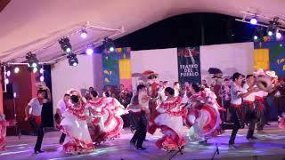 Ballet Folklórico de la Universidad de Colima [upl. by Domonic]