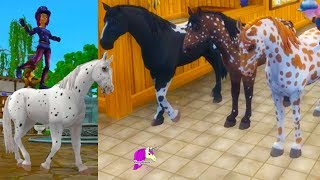 Circus Horse  Buying New Horses Star Stable Online RolePlay Story Video [upl. by Rooke709]