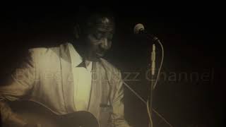 LONNIE JOHNSON  BLUES amp JAZZ GUITAR REALLY THE BEST FROM 1927 TO 1952 [upl. by Eeram]