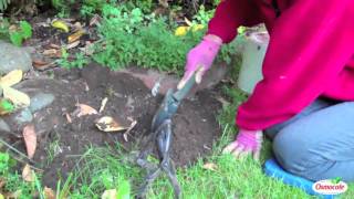 Garden Tutorial Mole Traps [upl. by Elyk]