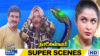 என்ன பார்த்தா உனக்கு அழகா தெரியலையா  Nageswari  Ramya Krishnan  Vadivelu  Karan  Raj Movies [upl. by Adnohsat]