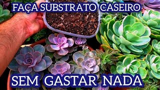 COMO FAZER SUBSTRATO CASEIRO SEM GASTAR NADA PARA SUCULENTAS CACTOS E PLANTAS [upl. by Akiem]