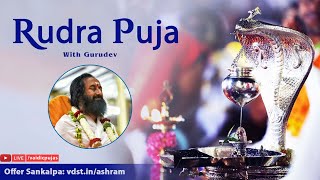 Rudra Puja  25 Nov 2024  Live From VDS Bangalore Ashram [upl. by Ardnalac]