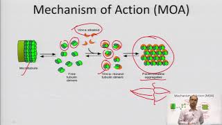 Industrial Production Estimation and Utilization of Phytoconstituents Atropine [upl. by Augy]