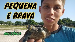 🐢Soltura de uma linda tracajá 🌿 [upl. by Iralam555]